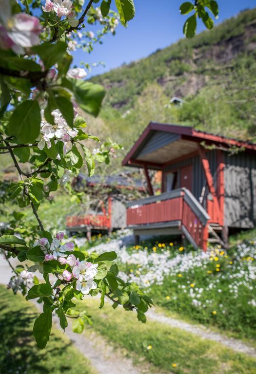 Pluscamp Sandvik Гаупне Экстерьер фото
